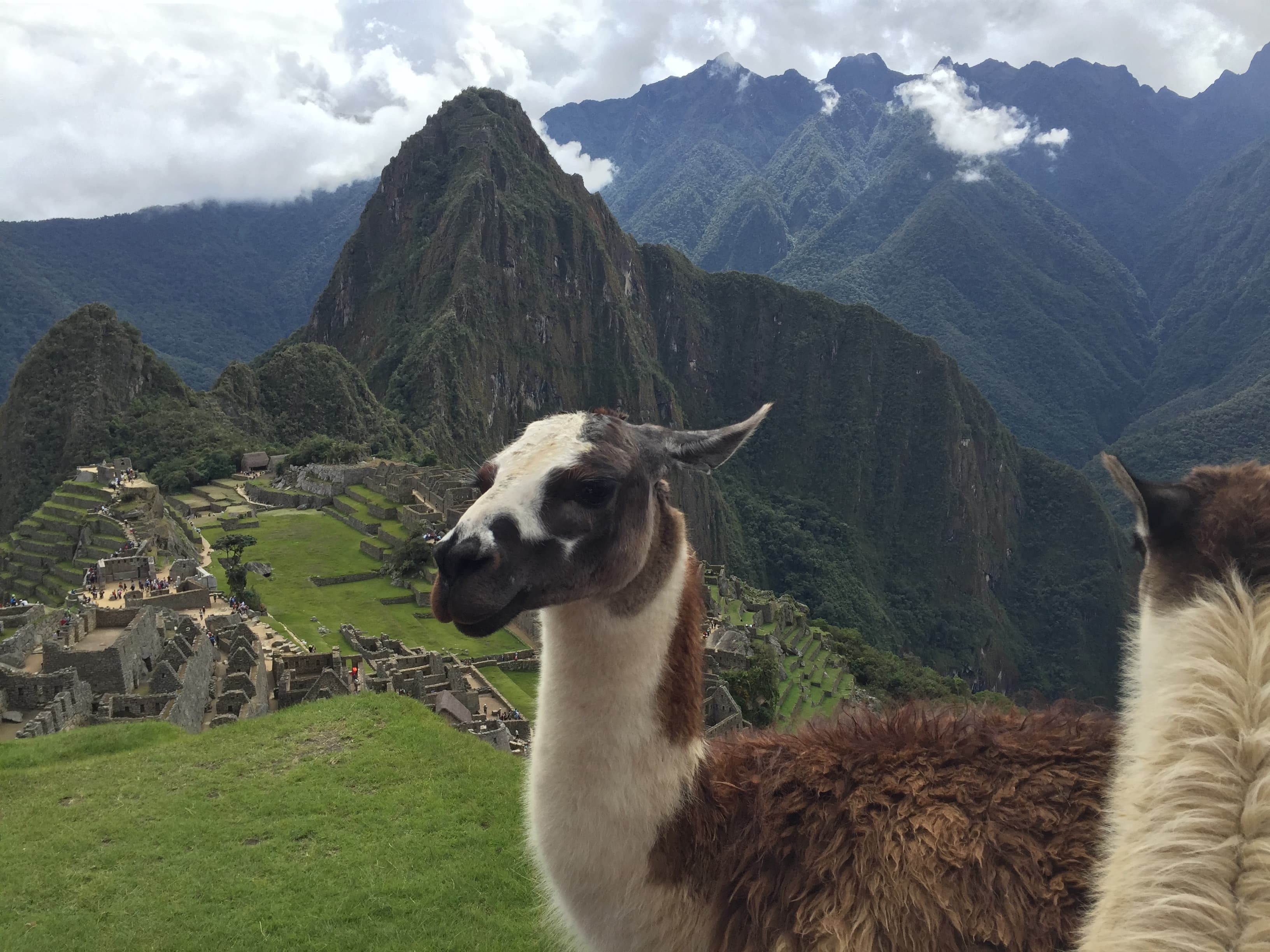 Camino Inca 4 Días a Machu Picchu